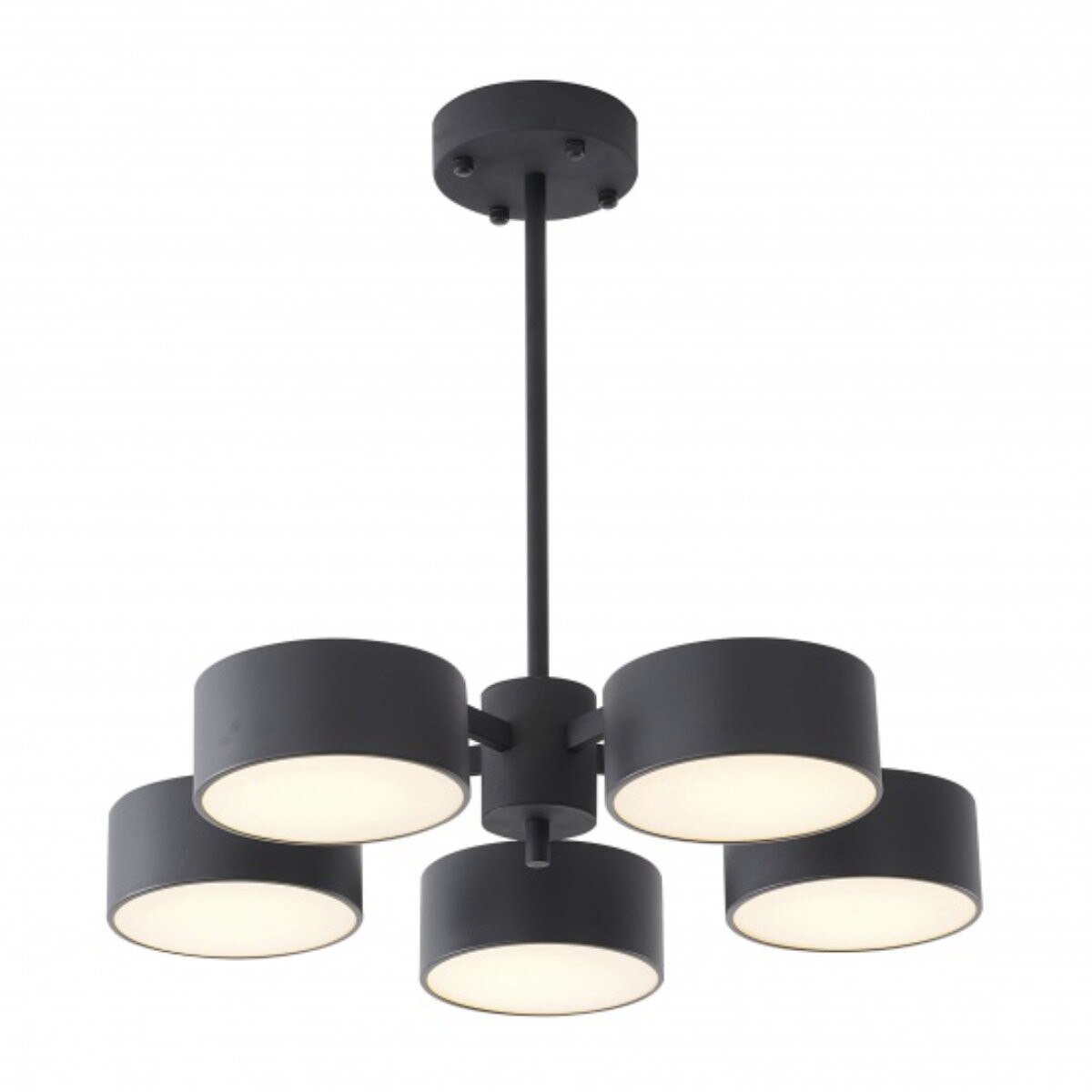 Nysa Pendent Light